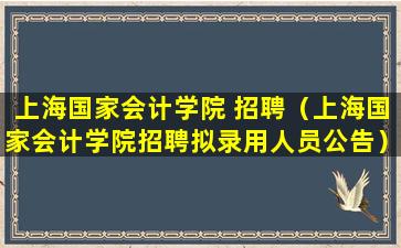 上海国家会计学院 招聘（上海国家会计学院招聘拟录用人员公告）